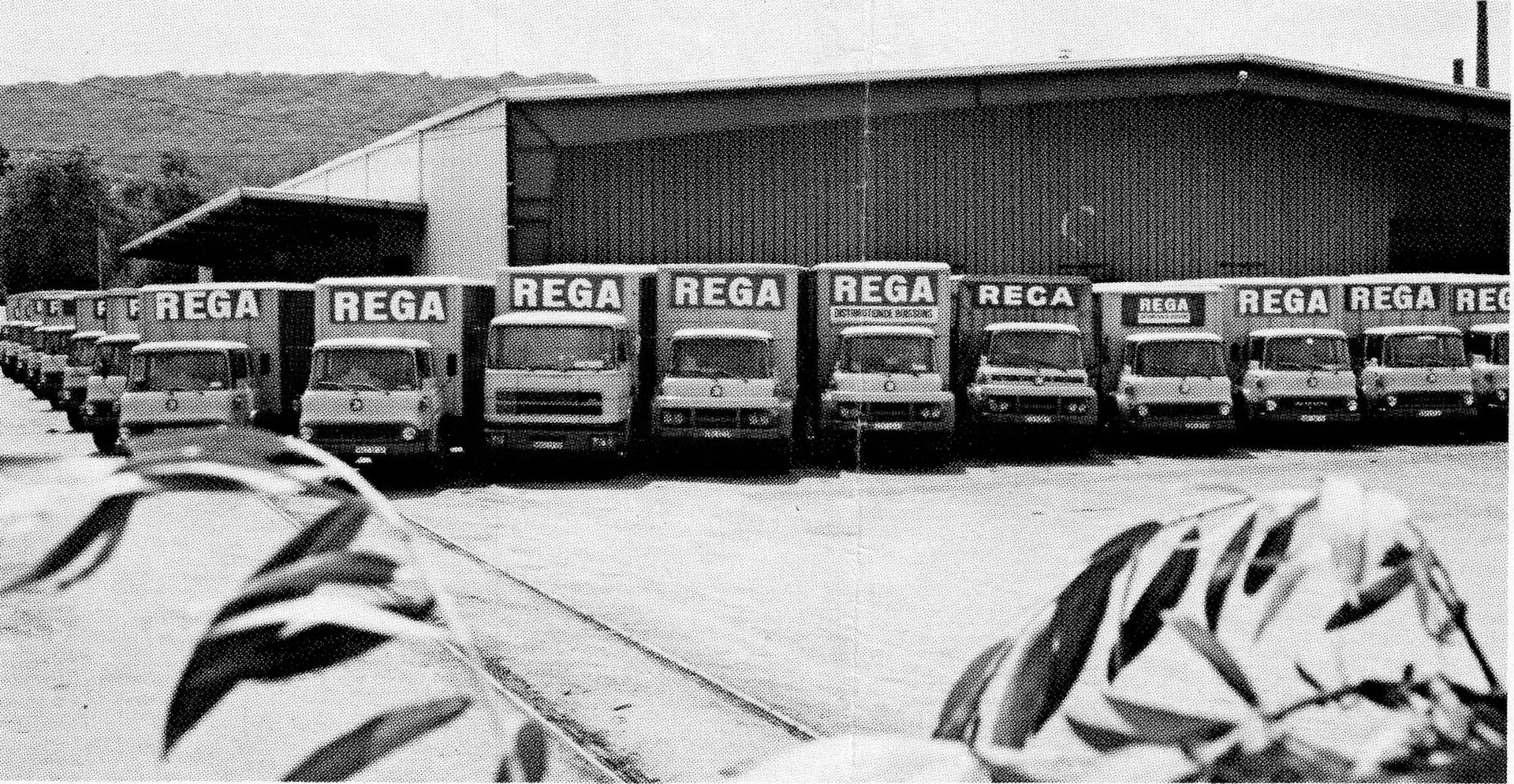 Groupe REGA